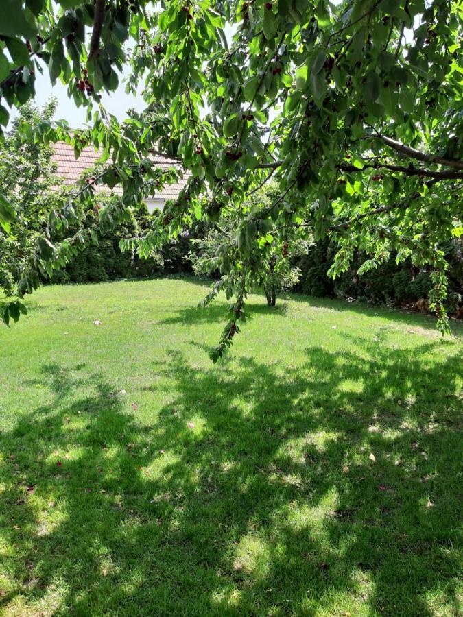 Eisenstadt Apartments Ngoại thất bức ảnh